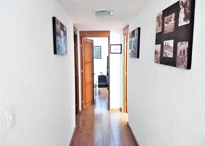 Apartamento Departamentos Amueblados La Condesa
