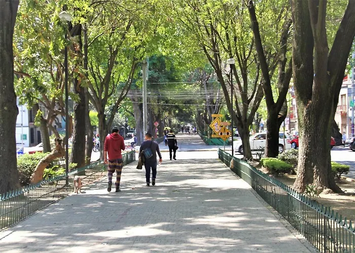 Departamentos Amueblados La Condesa